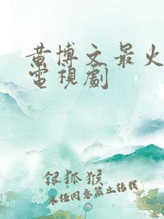 黄博文最火十部电视剧