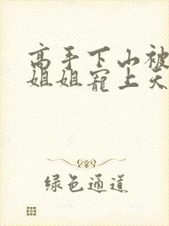 高手下山被七个姐姐宠上天小说