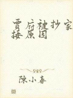 贾府被抄家的直接原因