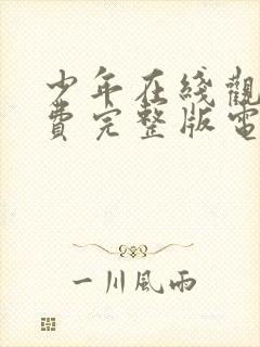 少年在线观看免费完整版电影