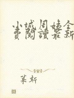 小城周姨全文免费阅读最新章节