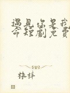 遇见你是我的宿命短剧免费全集