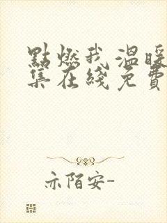 点燃我温暖你全集在线免费观看