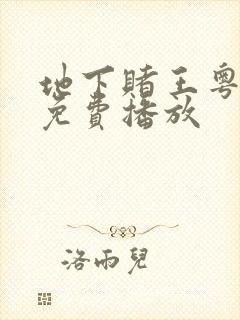 地下赌王粤语版免费播放