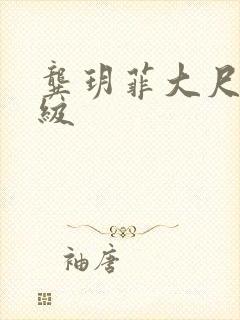 龚玥菲大尺度三级