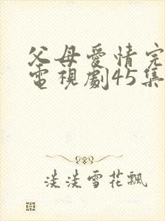 父母爱情完整版电视剧45集