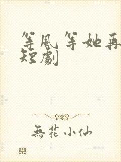 等风等她再回头短剧