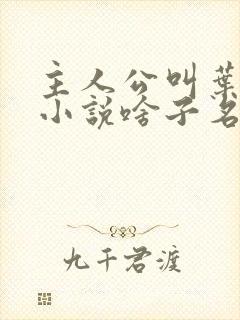 主人公叫叶凡的小说啥子名字