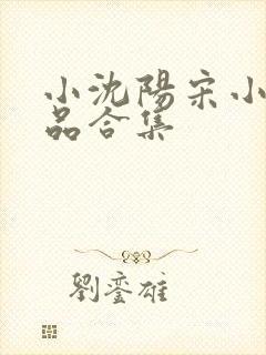 小沈阳宋小宝小品合集