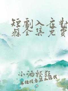 短剧入夜对她上瘾全集免费