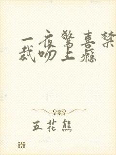 一夜惊喜禁爱总裁吻上瘾