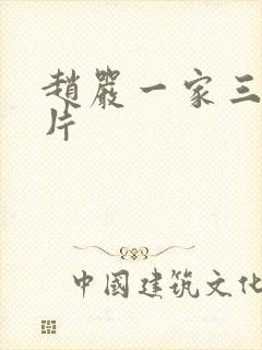 赵严一家三口照片