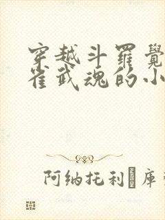 穿越斗罗觉醒朱雀武魂的小说