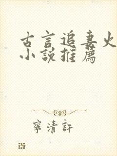 古言追妻火葬场小说推荐