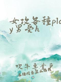 女攻各种play男受h