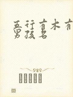 五行有木有水的男孩名
