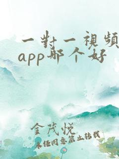 一对一视频聊天app哪个好