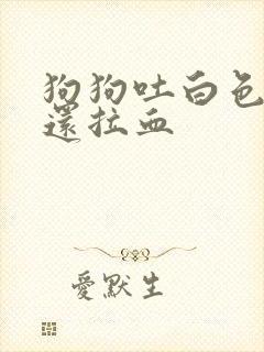 狗狗吐白色粘液还拉血