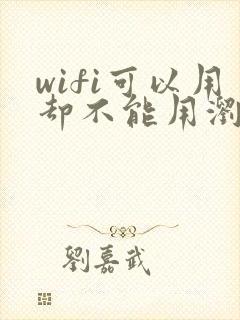 wifi可以用却不能用浏览器