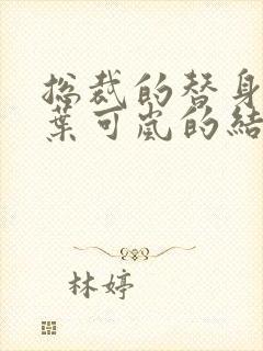 总裁的替身前妻叶可岚的结局