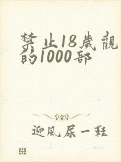 禁止18岁观看的1000部