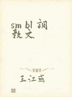 sm bl 调教文