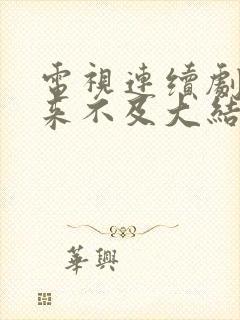 电视连续剧我怕来不及大结局