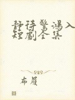 静待惊鸿入翁慌短剧全集