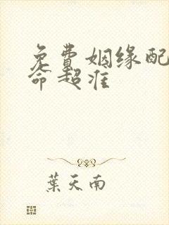 免费姻缘配对算命超准