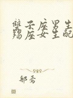 双子座男生和摩羯座女生配对指数