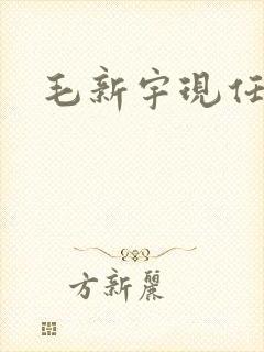 毛新宇现任职务