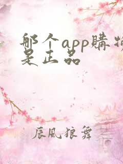 那个app购物是正品