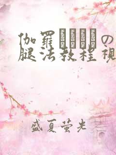 伽罗ちゃんへの腿法教程视频