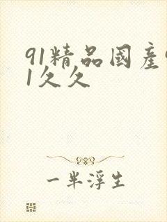 91精品国产91久久
