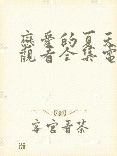 恋爱的夏天免费观看全集电视剧