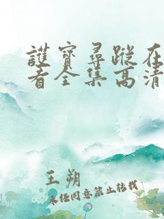 护宝寻踪在线观看全集高清