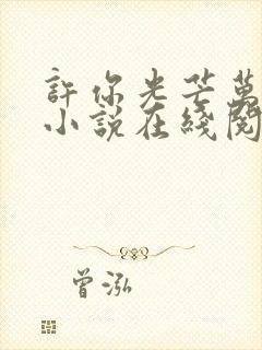 许你光芒万丈好小说在线阅读