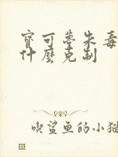 宝可梦朱毒系被什么克制