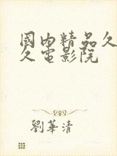 国内精品久久久久电影院