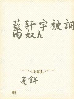 蓝轩宇被调教成肉奴h