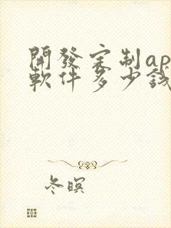 开发定制app软件多少钱