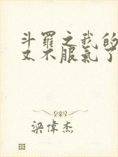 斗罗之我的系统又不服气了有声书