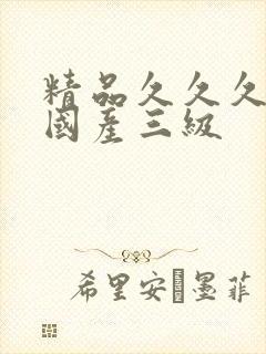 精品久久久久久国产三级