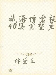 藏海传电视剧第40集完整免费观看