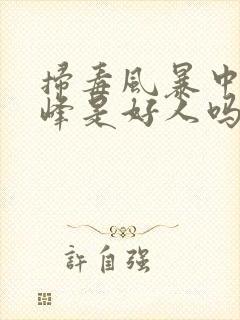 扫毒风暴中林强峰是好人吗