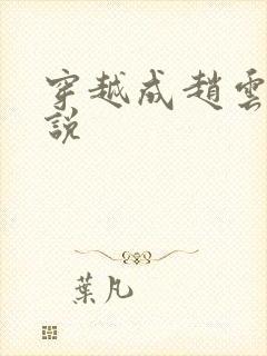 穿越成赵云的小说