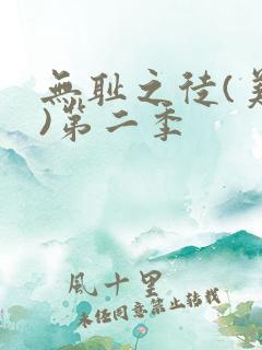 无耻之徒(美版)第二季