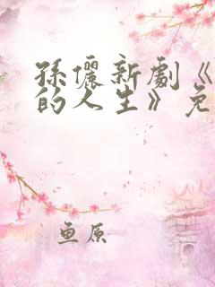 孙俪新剧《蛮好的人生》免费观看