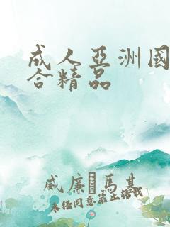 成人亚洲国产综合精品