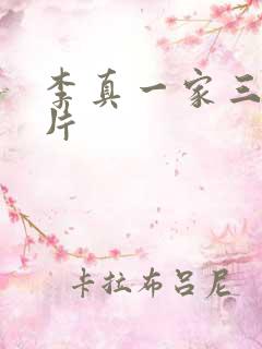 李真一家三口照片